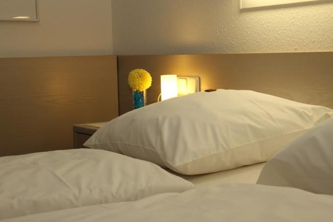 Hotel Und Gasthof Zur Laute 민델하임 외부 사진